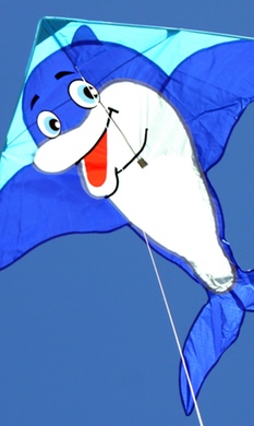 Kites Kites