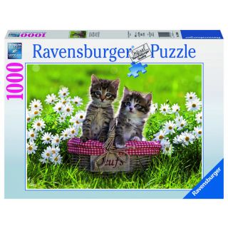 Ravensburger Puzzle - Picnic in the Meadow - 1000pc
