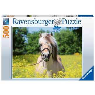 Ravensburger Puzzle - White Horse - 500pc