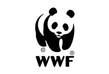 Wwf