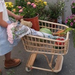 Poppie Shopper